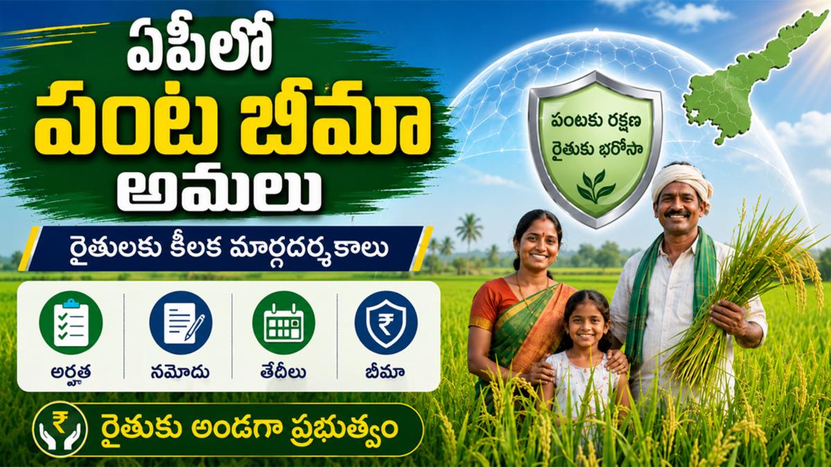 ఏపీలో పంట బీమా పథకం అమలు: రైతుల కోసం కీలక మార్గదర్శకాలు