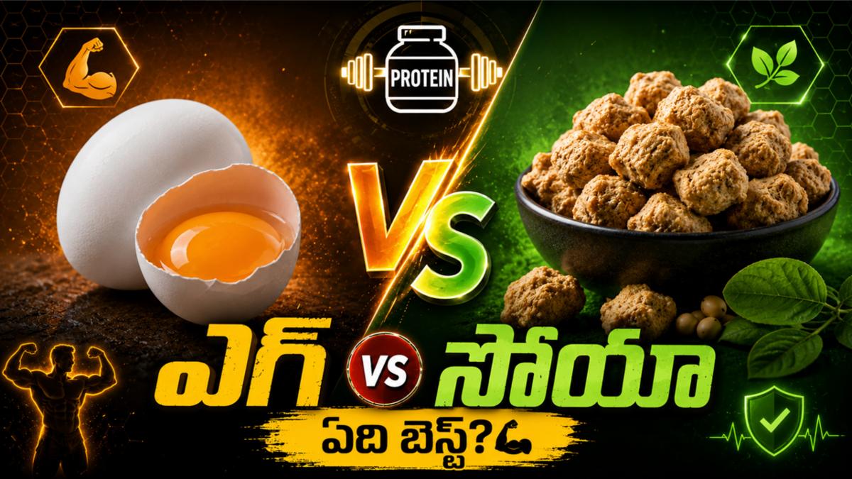 ప్రోటీన్ ఫైట్: గుడ్డు వర్సెస్ సోయా - మీ డైట్‌కి ఏది కరెక్ట్?