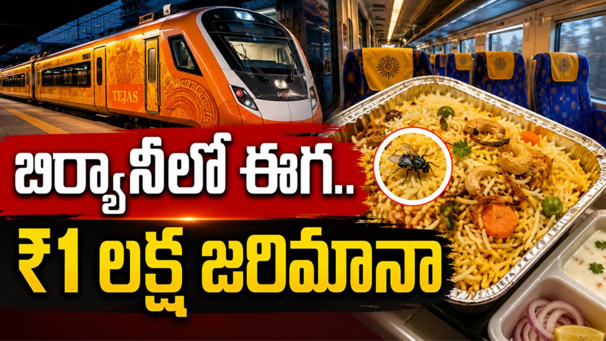 బిర్యానీలో ఈగ.. క్యాటరింగ్ సంస్థకు రూ. 1 లక్ష జరిమానా విధించిన ఐఆర్‌సీటీసీ!